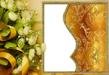 Efecto de fotos de la categoría Otros № 162100