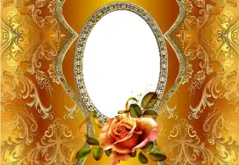 Efecto de fotos de la categoría Otros № 162102