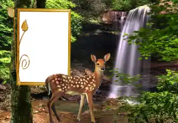 Efecto de fotos de la categoría Otros № 163220 Efecto de fotos de la categoría Otros № 163220