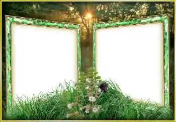 Efecto de fotos de la categoría Otros № 163263 Efecto de fotos de la categoría Otros № 163263