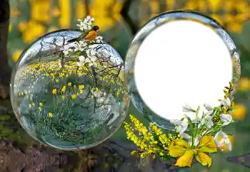 Efecto de fotos de la categoría Otros № 163601 Efecto de fotos de la categoría Otros № 163601