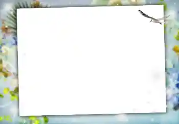 Efecto de fotos de la categoría Otros № 164634 Efecto de fotos de la categoría Otros № 164634