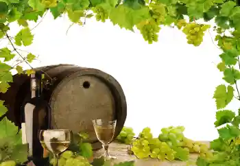 Efecto de fotos de la categoría Otros № 164780 Efecto de fotos de la categoría Otros № 164780