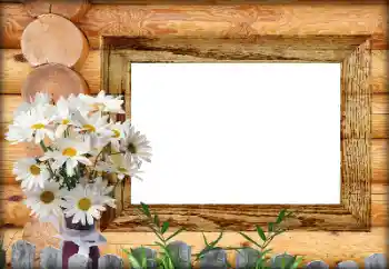 Efecto de fotos de la categoría Otros № 164792 Efecto de fotos de la categoría Otros № 164792