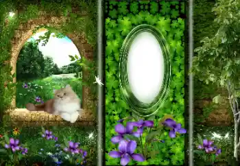 Efecto de fotos de la categoría Otros № 166033 Efecto de fotos de la categoría Otros № 166033