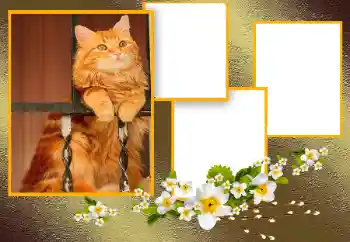 Efecto de fotos de la categoría Otros № 166093 Efecto de fotos de la categoría Otros № 166093