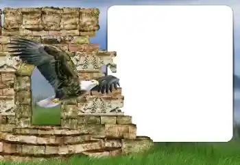 Efecto de fotos de la categoría Otros № 166357 Efecto de fotos de la categoría Otros № 166357