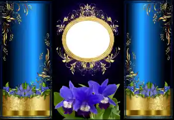 Efecto de fotos de la categoría Otros № 166447