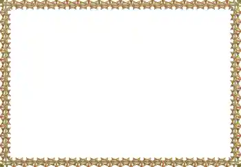 Efecto de fotos de la categoría Otros № 166535