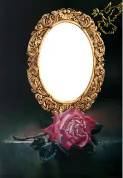 Efecto de fotos de la categoría Otros № 166636