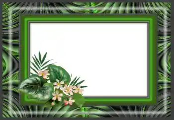 Efecto de fotos de la categoría Otros № 166640