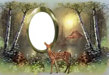 Efecto de fotos de la categoría Otros № 167794