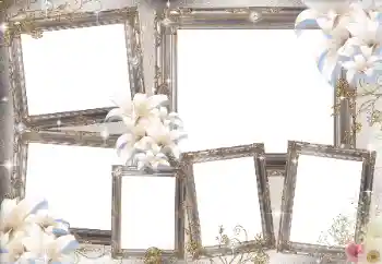 Efecto de fotos de la categoría Otros № 169031 Efecto de fotos de la categoría Otros № 169031