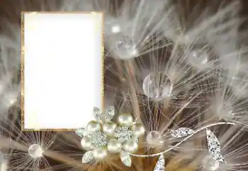 Efecto de fotos de la categoría Otros № 169101 Efecto de fotos de la categoría Otros № 169101