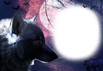 Efecto de fotos de la categoría Otros № 16918