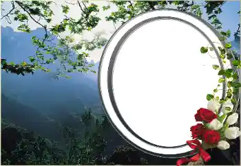 Efecto de fotos de la categoría Otros № 16920