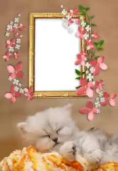 Efecto de fotos de la categoría Otros № 169232 Efecto de fotos de la categoría Otros № 169232