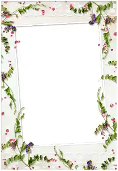 Efecto de fotos de la categoría Otros № 17020