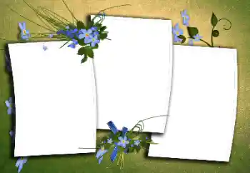 Efecto de fotos de la categoría Otros № 170395 Efecto de fotos de la categoría Otros № 170395