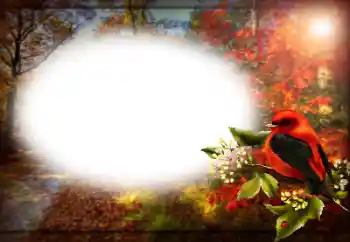 Efecto de fotos de la categoría Otros № 170400 Efecto de fotos de la categoría Otros № 170400