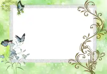 Efecto de fotos de la categoría Otros № 17086