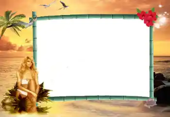 Efecto de fotos de la categoría Otros № 17101