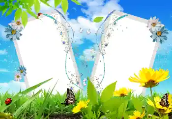 Efecto de fotos de la categoría Otros № 17121