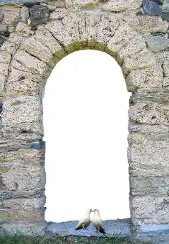 Efecto de fotos de la categoría Otros № 171681 Efecto de fotos de la categoría Otros № 171681