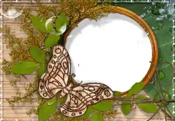 Efecto de fotos de la categoría Otros № 17189