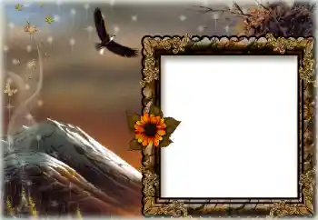 Efecto de fotos de la categoría Otros № 172844 Efecto de fotos de la categoría Otros № 172844