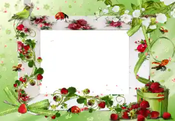 Efecto de fotos de la categoría Otros № 172917