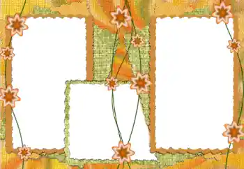 Efecto de fotos de la categoría Otros № 172922