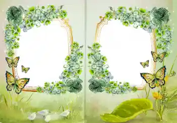 Efecto de fotos de la categoría Otros № 172968