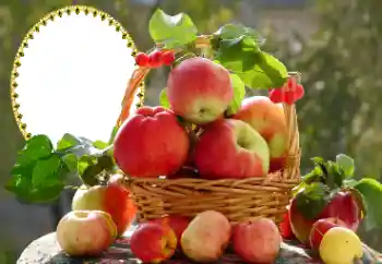 Efecto de fotos de la categoría Otros № 173030