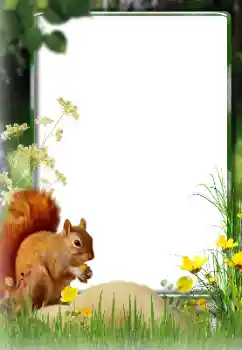 Efecto de fotos de la categoría Otros № 174270 Efecto de fotos de la categoría Otros № 174270