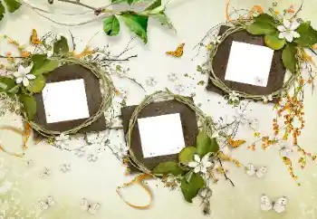 Efecto de fotos de la categoría Otros № 175577 Efecto de fotos de la categoría Otros № 175577