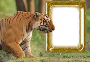 Efecto de fotos de la categoría Otros № 176575 Efecto de fotos de la categoría Otros № 176575