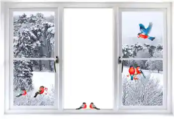 Efecto de fotos de la categoría Otros № 177876