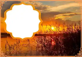 Efecto de fotos de la categoría Otros № 177879