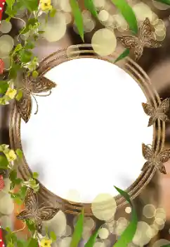 Efecto de fotos de la categoría Otros № 177970