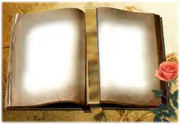 Efecto de fotos de la categoría Otros № 180729 Efecto de fotos de la categoría Otros № 180729