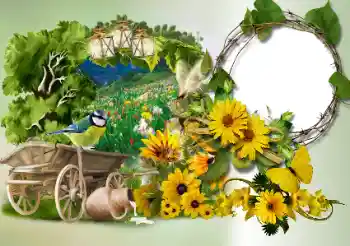 Efecto de fotos de la categoría Otros № 180773 Efecto de fotos de la categoría Otros № 180773