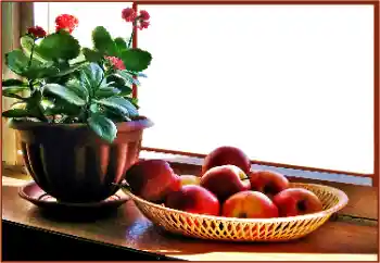 Efecto de fotos de la categoría Otros № 180838