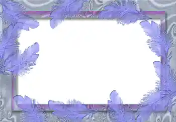 Efecto de fotos de la categoría Otros № 1809 Efecto de fotos de la categoría Otros № 1809