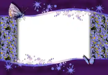 Efecto de fotos de la categoría Otros № 1813 Efecto de fotos de la categoría Otros № 1813