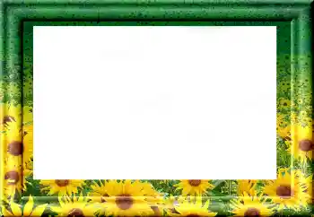 Efecto de fotos de la categoría Otros № 1816 Efecto de fotos de la categoría Otros № 1816