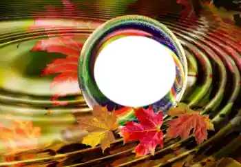 Efecto de fotos de la categoría Otros № 181963