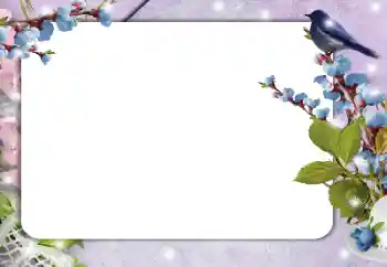 Efecto de fotos de la categoría Otros № 182214