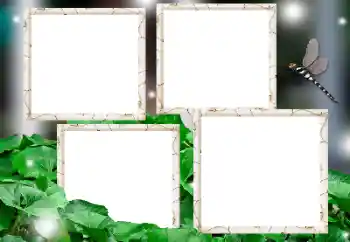 Efecto de fotos de la categoría Otros № 182236