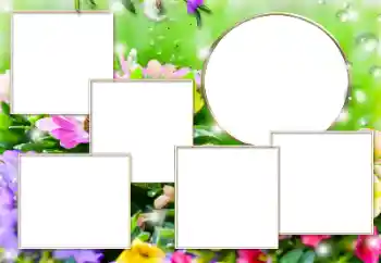 Efecto de fotos de la categoría Otros № 182304